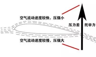 暖先生格调@收藏好!这4款幼儿园科学小实验手工,让孩子1秒就爱上