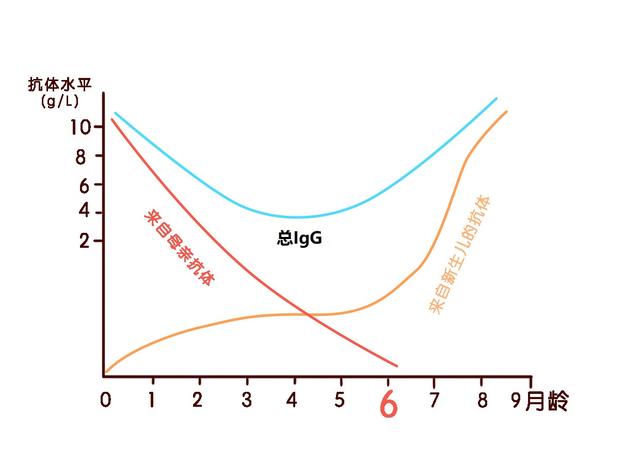 新加坡母亲曾感染新冠，新生儿能否从母亲那儿直接获得抗体？