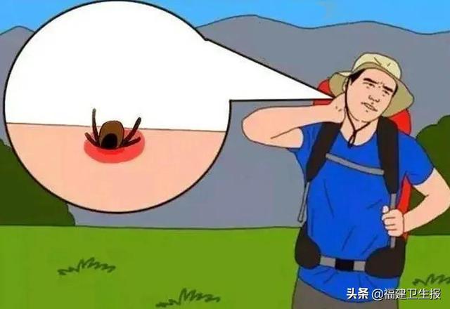 发热|福建疾控发布最新提醒：警惕这种急性传染病！夏天高发