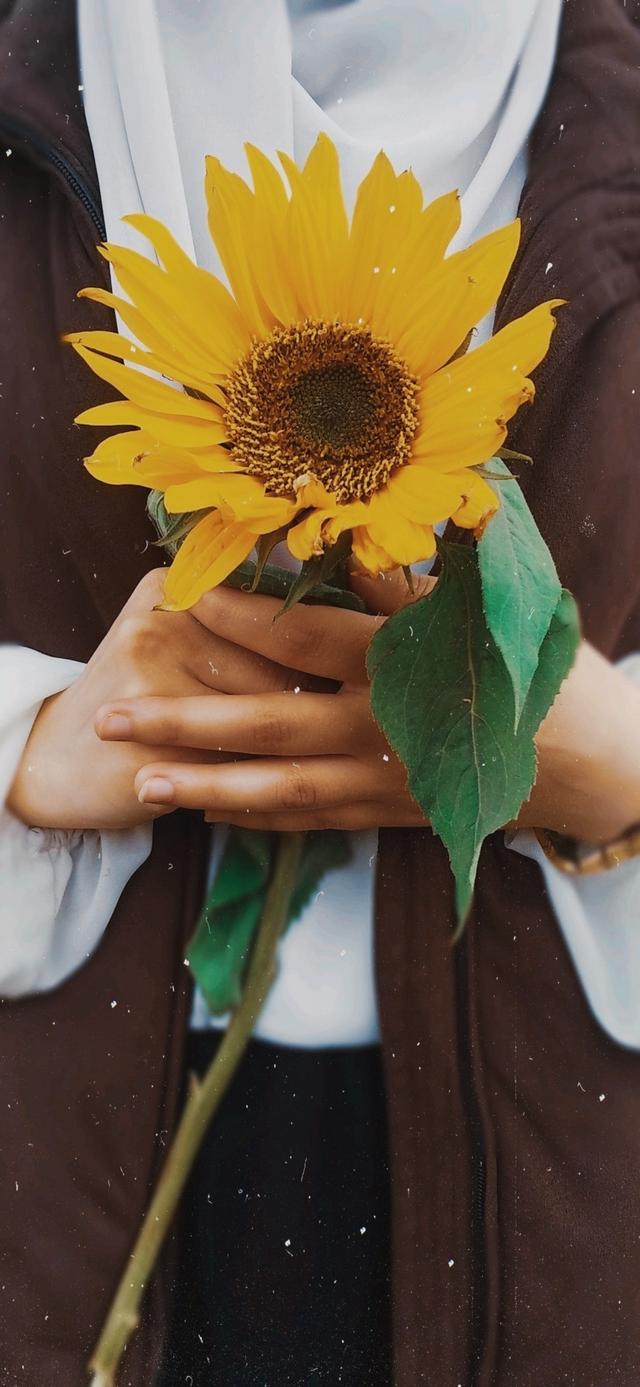 壁纸优选：分享一些不错的手机壁纸