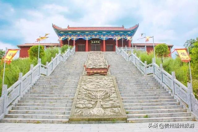 #旅行柚子君#云赏花 | 播州桃李石溪花开了!诗意般的画面,雪白一片~