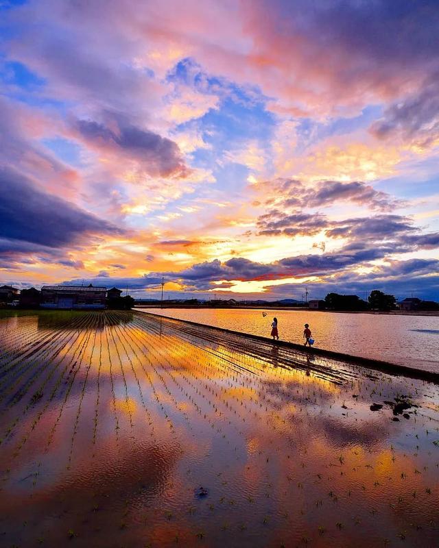 相亲相爱|暖心爸爸晒娃，却把孩子拍成宫崎骏动画，太治愈了