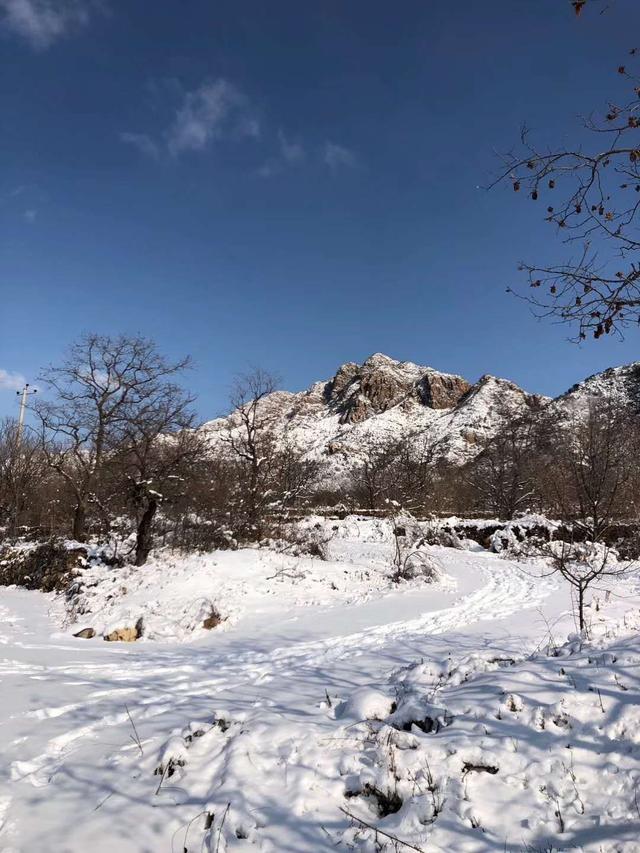 「旅行柚子君」京城的富士山