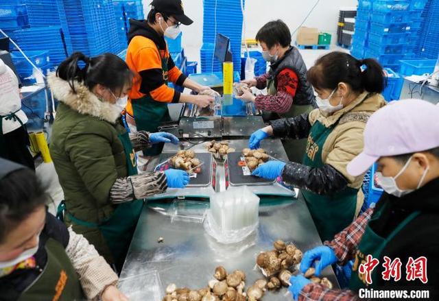 「环球网」生鲜电商平台与餐饮企业“共享员工”携手破解市民买菜难问题