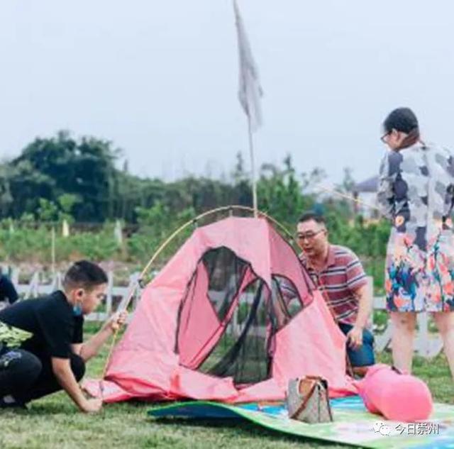 旅行柚子君@夏日，来崇州这个踏踏解锁“全家乐游”新模式