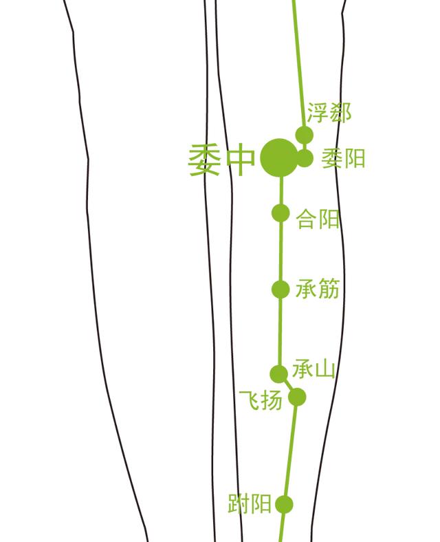 腰痛别大意，小心是腰椎间盘突出