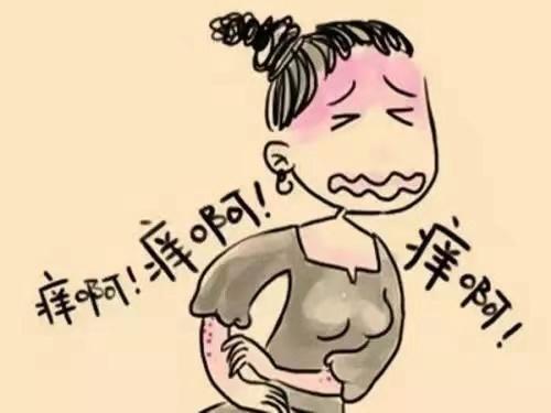 症状|季节性皮炎高发期不容忽视
