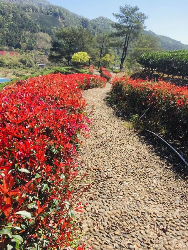 【超级宝妈】别样过假期，携手共育促成长——家乡篇