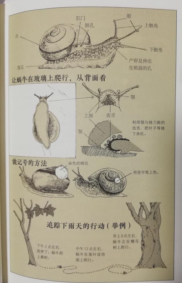 超级宝妈@开启孩子丰富的感官，捕捉世间无处不在的趣味