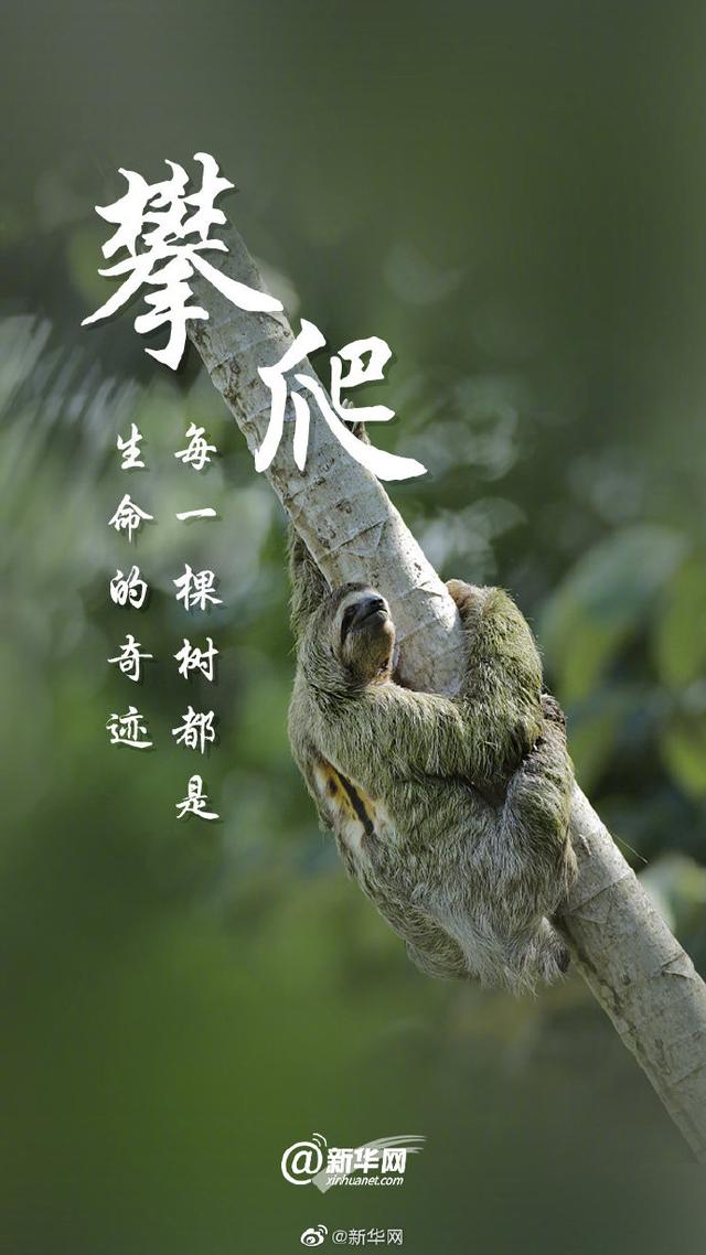 关爱环境 刻不容缓|光明网