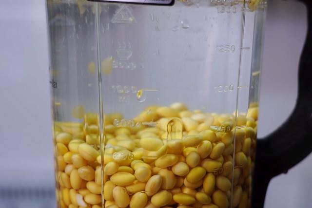 教你在家自制豆腐，不用卤水和内酯，纯绿色无添加，比买的还好吃