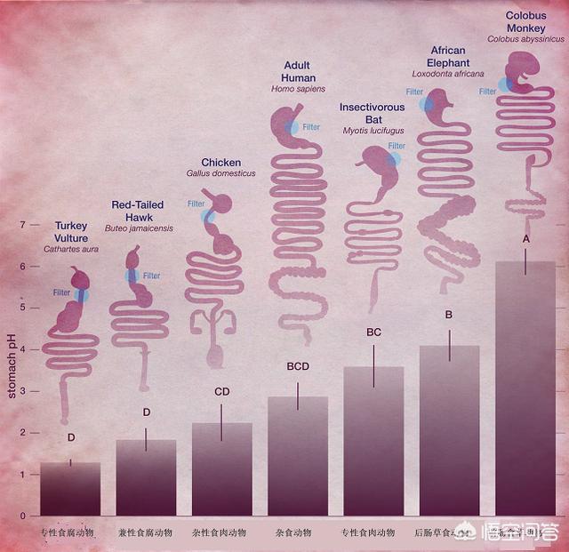 科学家|早上不刷牙就喝水，真的会把大量细菌喝进身体里吗？