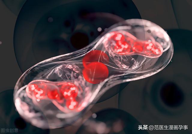 茶想曲|孕妈妈必读小妙招-1分钟看懂血常规化验单