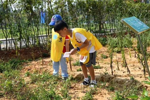 「喜讯」五龙客家风情园荣获“江西省科普教育基地”称号