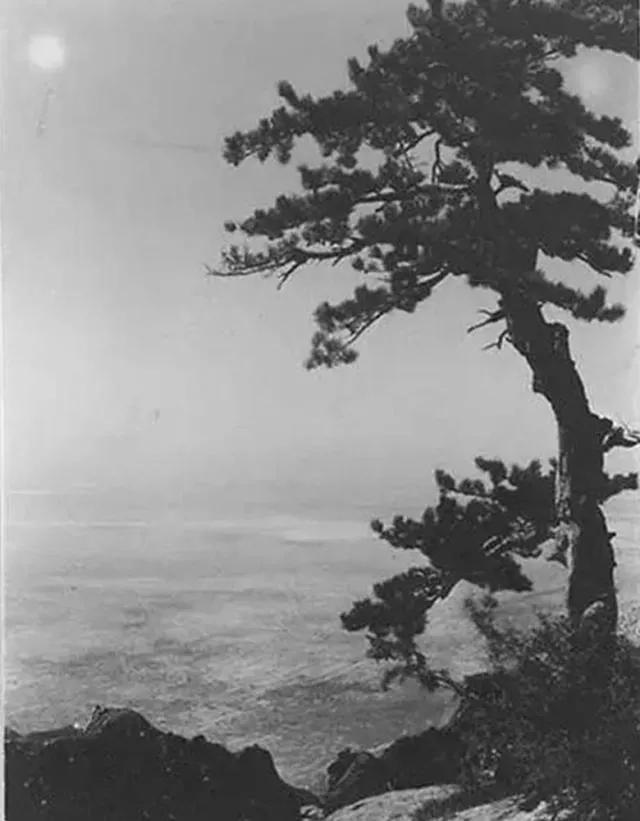 『约吗旅行』看过去没有索道和护栏的华山,那才叫惊险