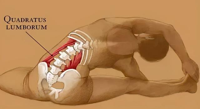 腰痛不是病，疼起来可真要命！三甲医生提醒：这几招防护必须得学