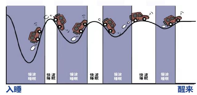 睡眠|亚洲睡眠医学大会最新发现 慢波睡眠是实现优质睡眠的关键