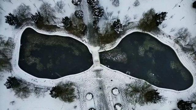 鲁东大“雪”