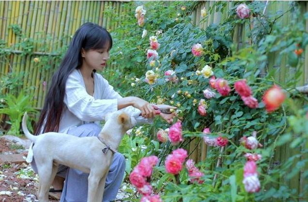 「超级宝妈」“消失”59天，李子柒再更新动态，让人惊艳：我们可以这样教孩子