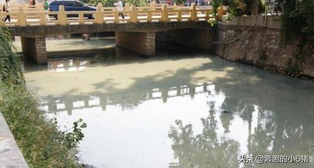 【超级宝妈】牛奶中的“地沟油”，危害力和“三鹿”相媲美，家长还让多喝点！