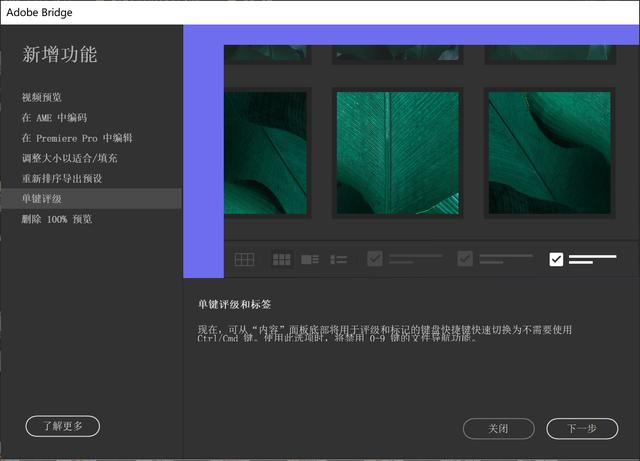 Bridge 2021 正式版终于也来了！集成ACR13.0