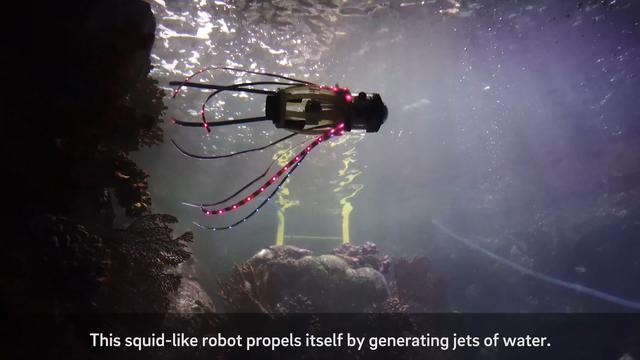 工业之美｜静若灯笼、动如鱿鱼，仿生届又出黑科技产品