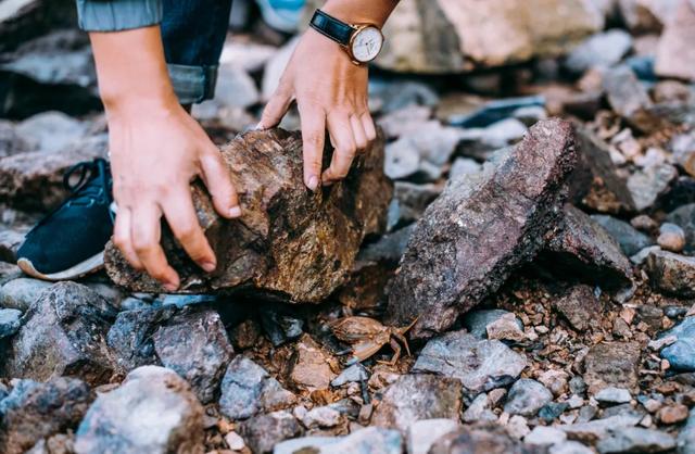【世界那么大】海岛春色亦苏醒，这是我爱的舟山