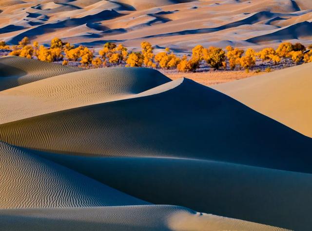 「你的育儿经」书架上的最美中国纪录片《这里是中国》,每一页都震撼人心