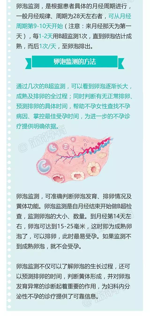 超级宝妈■「医图表」分享一个能直观看到我们卵子发育的“神器”