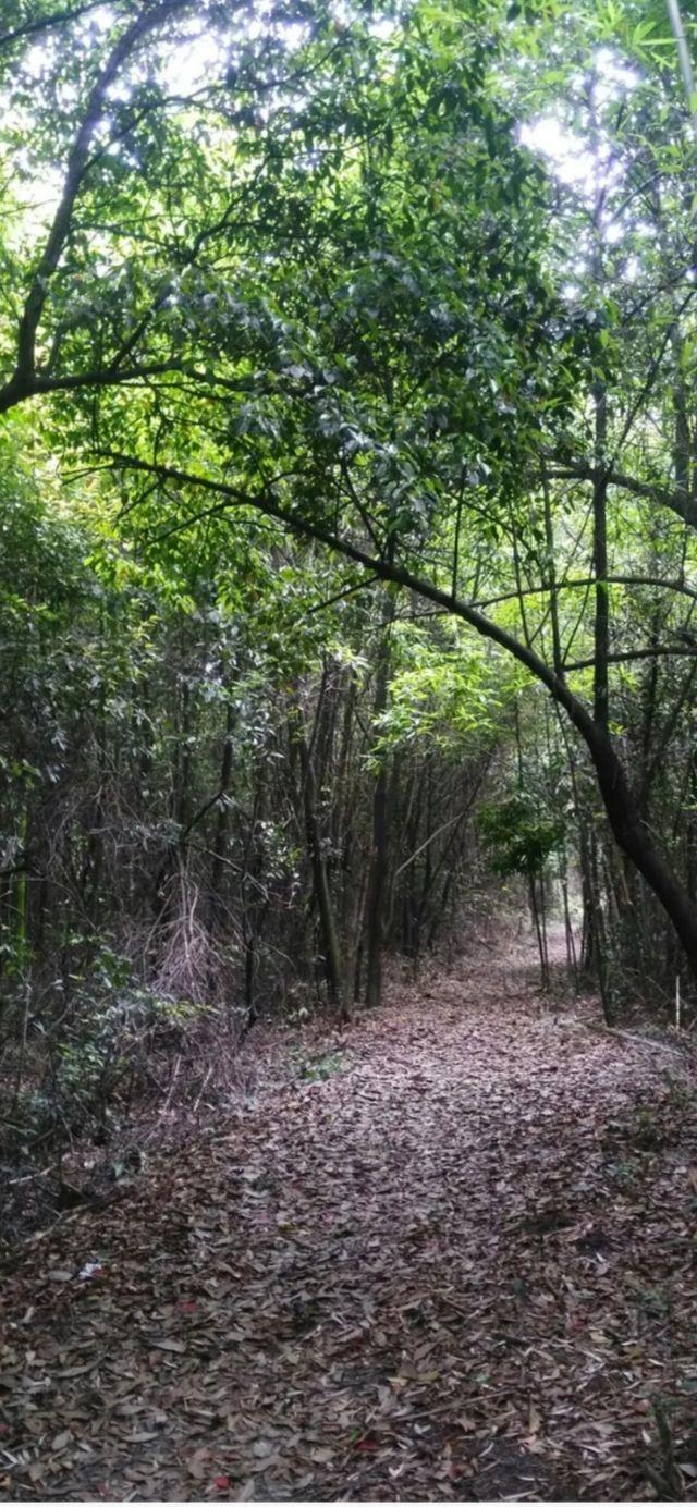 绿野山水之奇