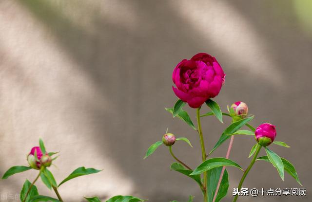 让孩子赢在生命形成的一刹那