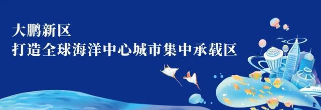 “舒心”家庭心理关爱服务项目微课堂第五期 |《在冲突中遇见更好的自己》