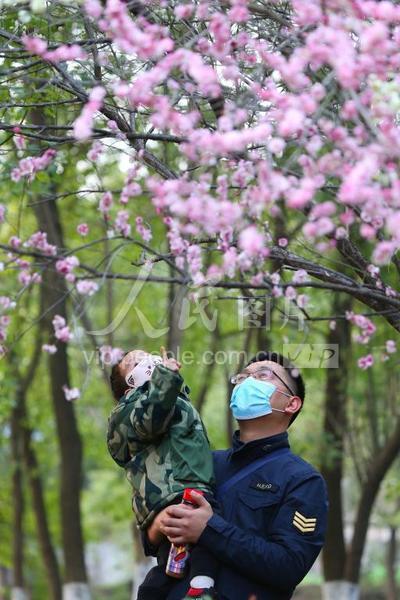 「人民图片」安徽庐江:赏梅享春意