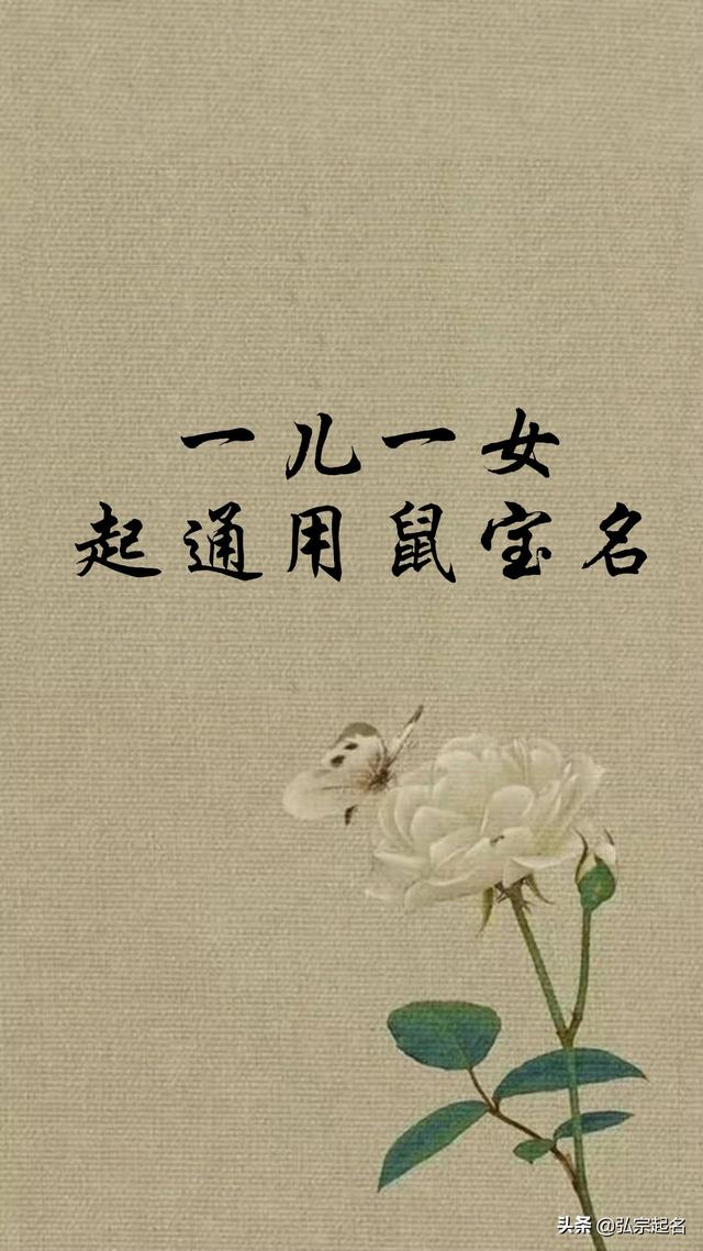 「超级宝妈」一儿一女起通用鼠宝宝名字