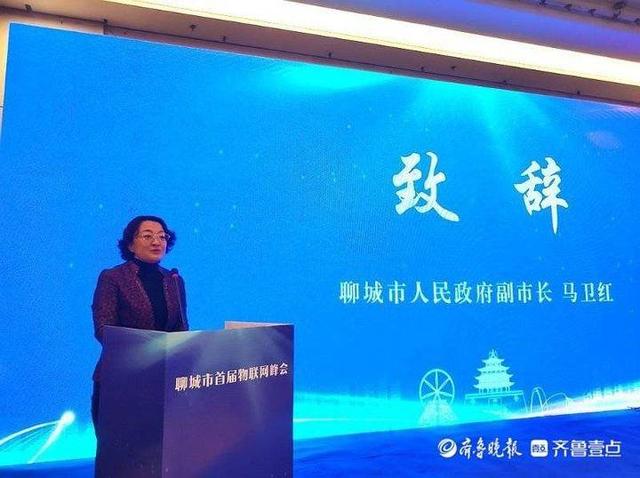 首届物联网应用峰会暨“我的聊城”APP2.0发布仪式举行