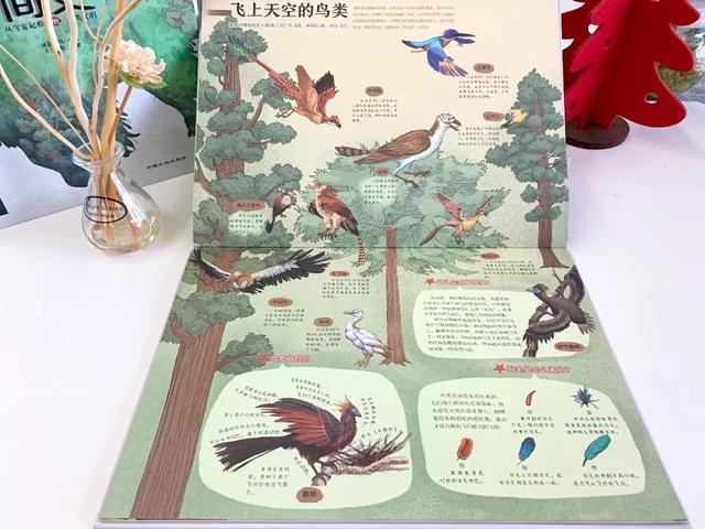 你的育儿经@教孩子,好奇心比知识更重要(中小学生家长必读)