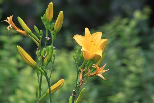 #超级宝妈#从孩子对色彩的喜恶，了解他的性格，方法就是这么简单