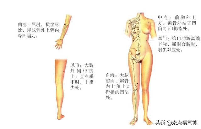 5个穴祛湿止痒。湿疹的从去湿邪为主！艾灸图解