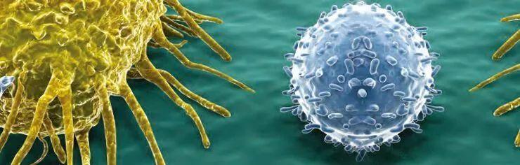 升高|体检发现肿瘤标志物升高，就是得了癌症吗？