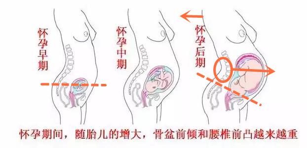 『你的育儿经』产后妈妈恢复优美体态必做的6个拉伸运动，助你恢复孕前妙曼身材