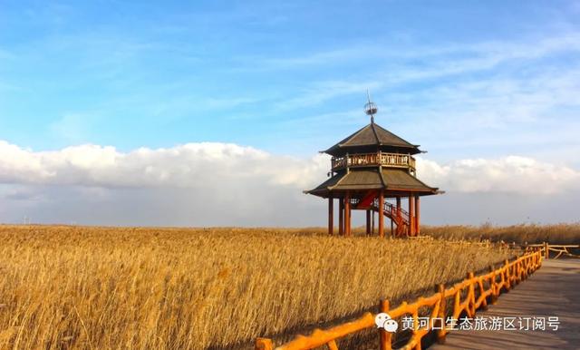 「趣旅游」每日一景 |春的律动