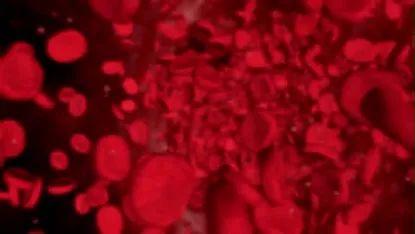 细胞|“母子连心”、“无师自通”原来竟与它有关