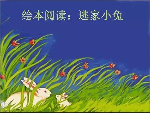 「你的育儿经」故事.花海第39期—《逃家小兔》