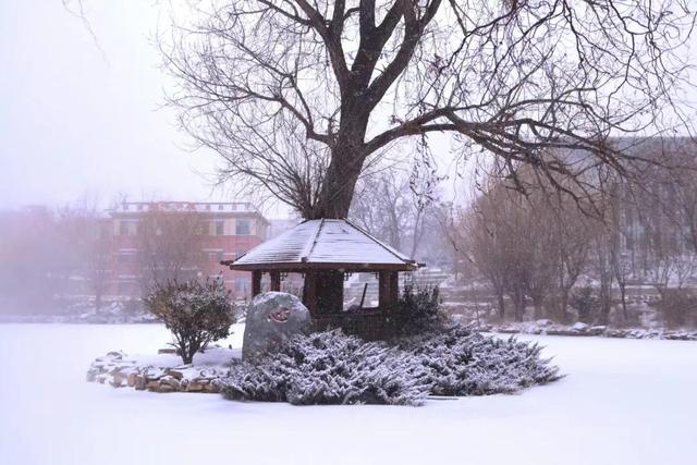 定格！雪中海大