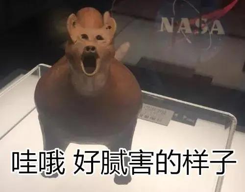 我爱我家|宝宝又发烧了？别急，学会这招，不打针不吃药免去你烦恼