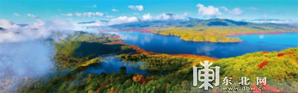 森林|龙江森林系自驾游C位出道 总有一款适合你（一）