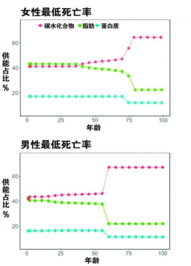 主食|年纪越大越要吃主食