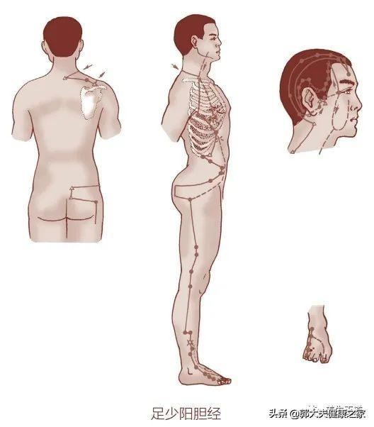 掌握好十二时辰养生法，包你神清气爽，身体倍儿棒！