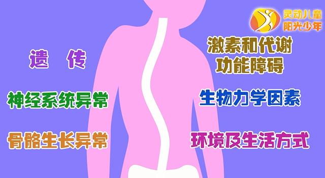 健康学堂|孩子高低肩，可能是病，这些脊柱侧凸自查方法，家长们一定要收藏