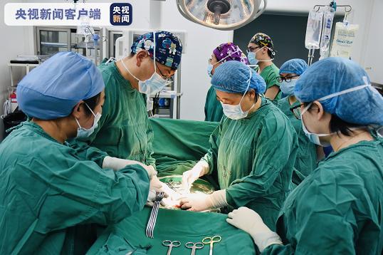卵巢|中国首例！卵巢组织冻存移植患者自然妊娠成功